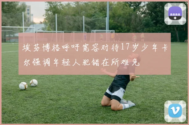 埃芬博格呼吁宽容对待17岁少年卡尔强调年轻人犯错在所难免